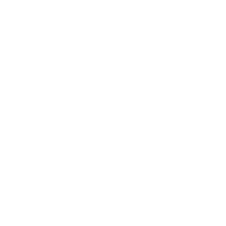 Frankenstein's